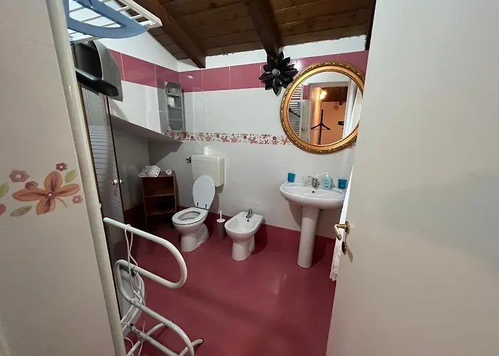 Alojamento de Turismo Rural E Az. Agricola Ma.mi Sale